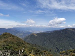 view from podocarpus national park