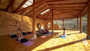a group of people sitting on yoga mats in a room