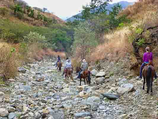 horses going single file down a dried up riverbed in the Vilcabamba region
